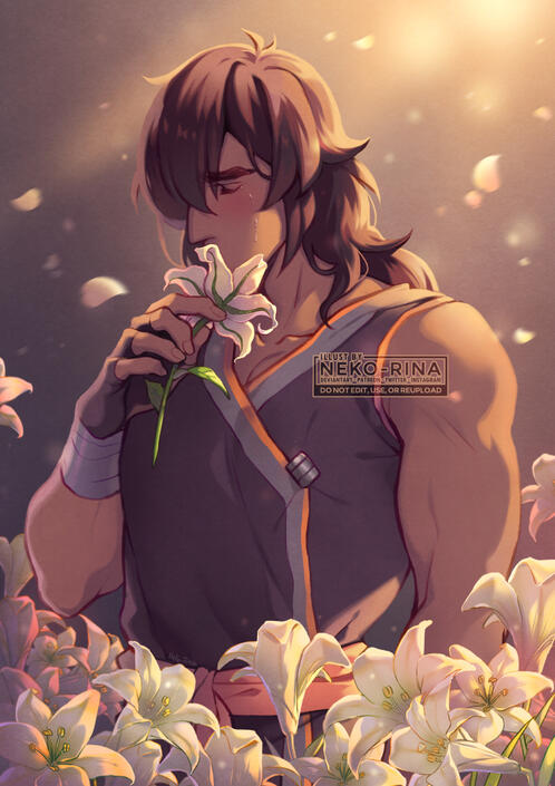 Cole, LEGO Ninjago (human version)